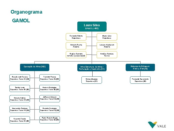 Organograma GAMOL Lauro Silva GAMOL (480) Operação de Mina (382) Ricardo Luiz Ferreira Supervisor