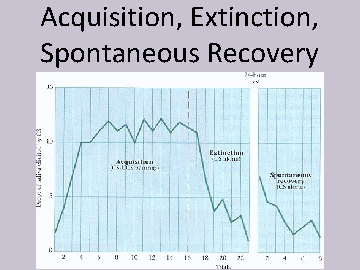 Acquisition, Extinction, Spontaneous Recovery 