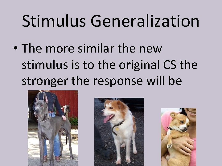 Stimulus Generalization • The more similar the new stimulus is to the original CS