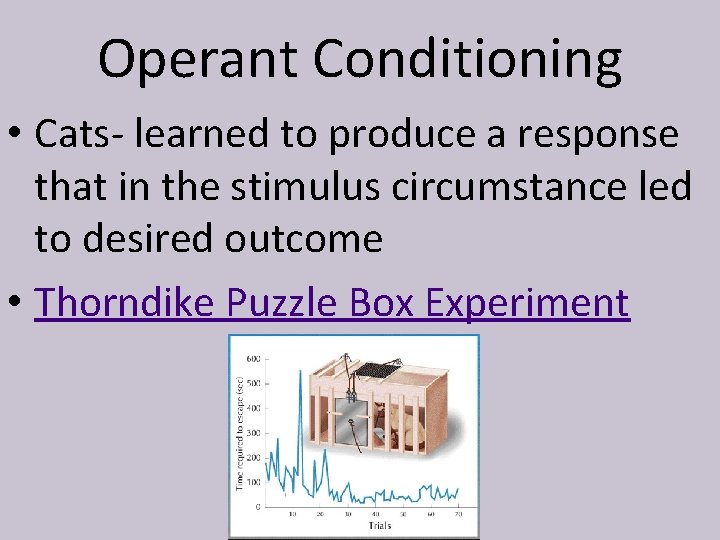 Operant Conditioning • Cats- learned to produce a response that in the stimulus circumstance