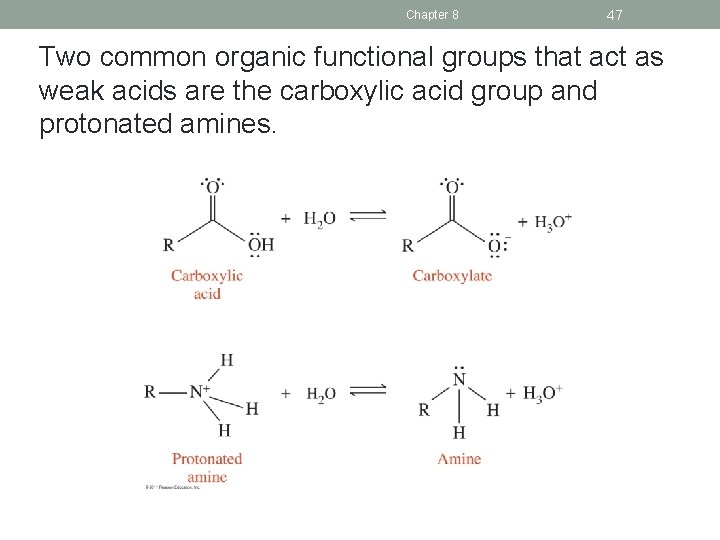 Chapter 8 47 Two common organic functional groups that act as weak acids are
