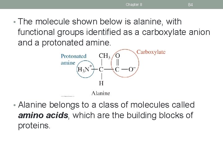 Chapter 8 84 • The molecule shown below is alanine, with functional groups identified