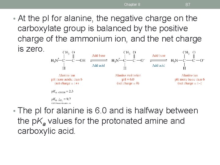 Chapter 8 87 • At the p. I for alanine, the negative charge on