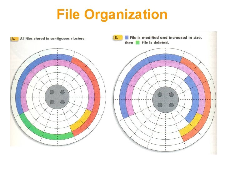 File Organization 