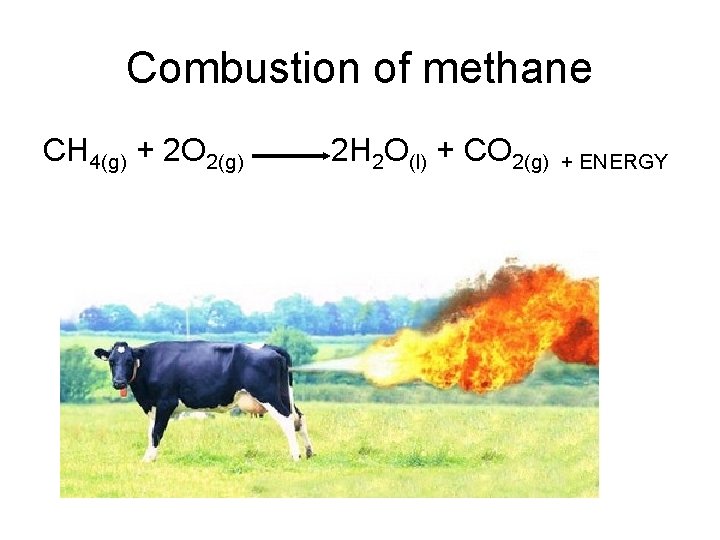 Combustion of methane CH 4(g) + 2 O 2(g) 2 H 2 O(l) +