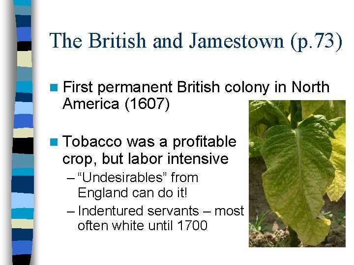 The British and Jamestown (p. 73) n First permanent British colony in North America