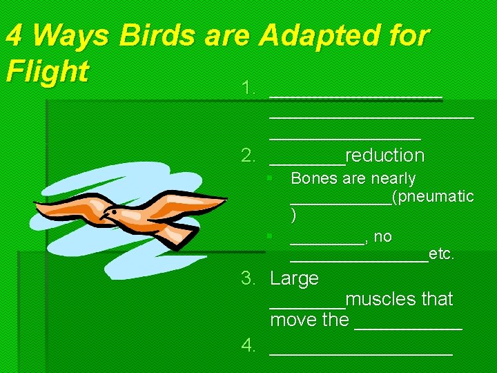 4 Ways Birds are Adapted for Flight 1. ___________________ 2. _______reduction § Bones are