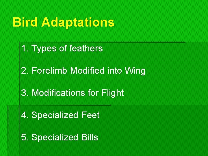 Bird Adaptations 1. Types of feathers 2. Forelimb Modified into Wing 3. Modifications for