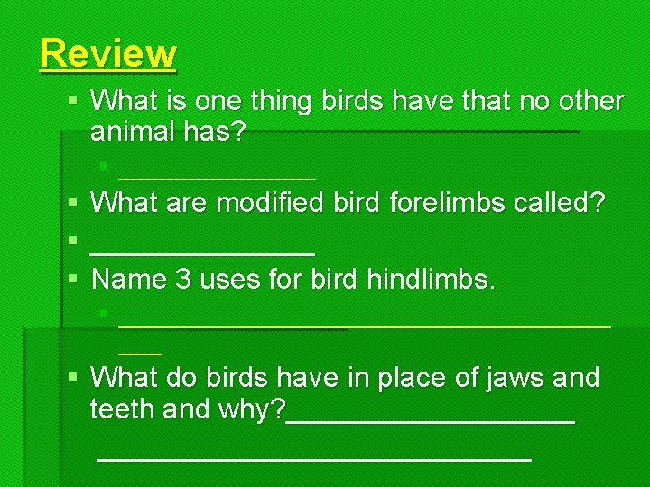 Review § What is one thing birds have that no other animal has? §