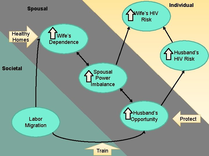 Individual Spousal Healthy Homes Wife’s HIV Risk Wife’s Dependence Husband’s HIV Risk Societal Spousal