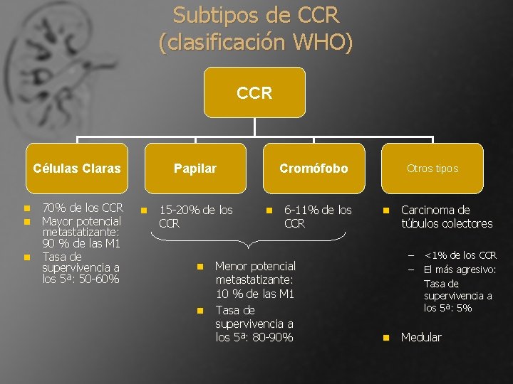 Subtipos de CCR (clasificación WHO) CCR Células Claras n n n 70% de los