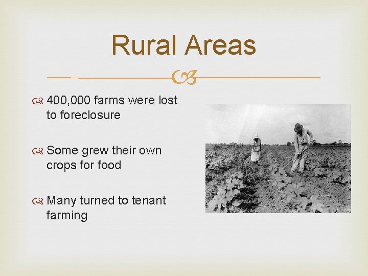 Rural Areas 400, 000 farms were lost to foreclosure Some grew their own crops