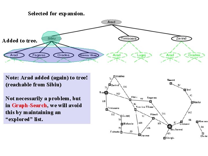 Selected for expansion. Added to tree. Note: Arad added (again) to tree! (reachable from