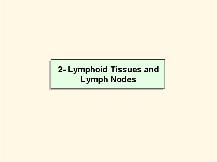 2 - Lymphoid Tissues and Lymph Nodes 