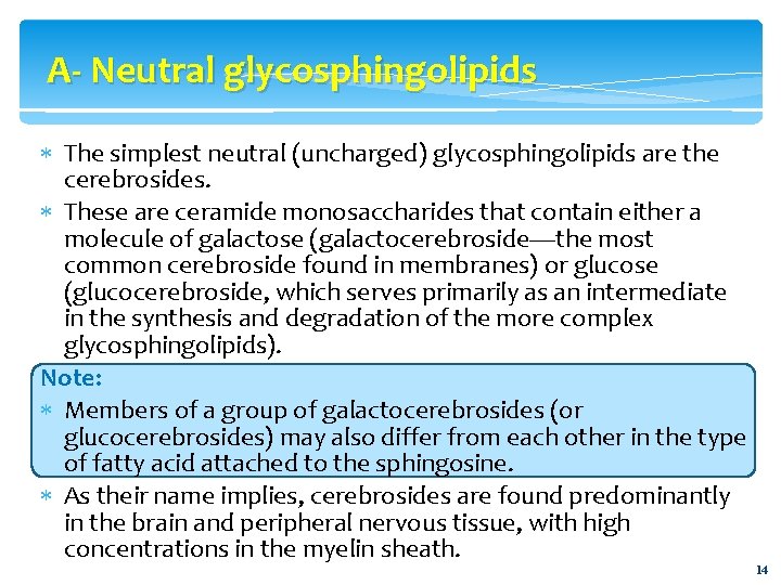A- Neutral glycosphingolipids The simplest neutral (uncharged) glycosphingolipids are the cerebrosides. These are ceramide