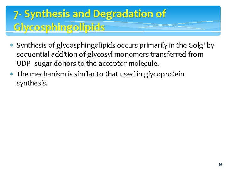 7 - Synthesis and Degradation of Glycosphingolipids Synthesis of glycosphingolipids occurs primarily in the