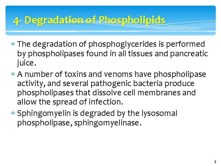 4 - Degradation of Phospholipids The degradation of phosphoglycerides is performed by phospholipases found