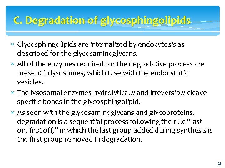 C. Degradation of glycosphingolipids Glycosphingolipids are internalized by endocytosis as described for the glycosaminoglycans.