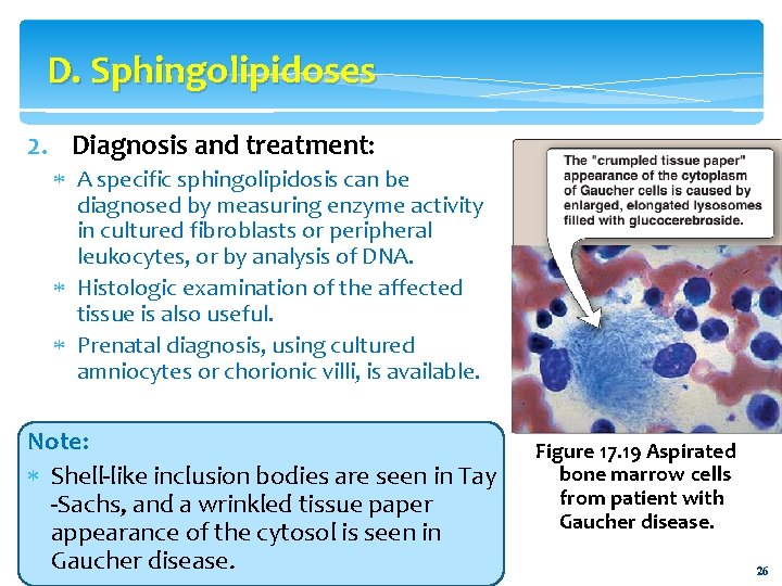 D. Sphingolipidoses 2. Diagnosis and treatment: A specific sphingolipidosis can be diagnosed by measuring