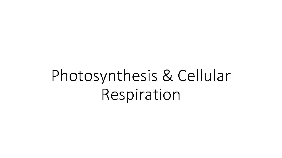 Photosynthesis & Cellular Respiration 