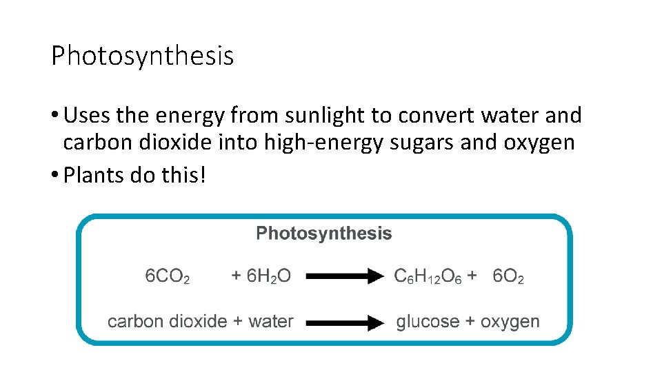Photosynthesis • Uses the energy from sunlight to convert water and carbon dioxide into