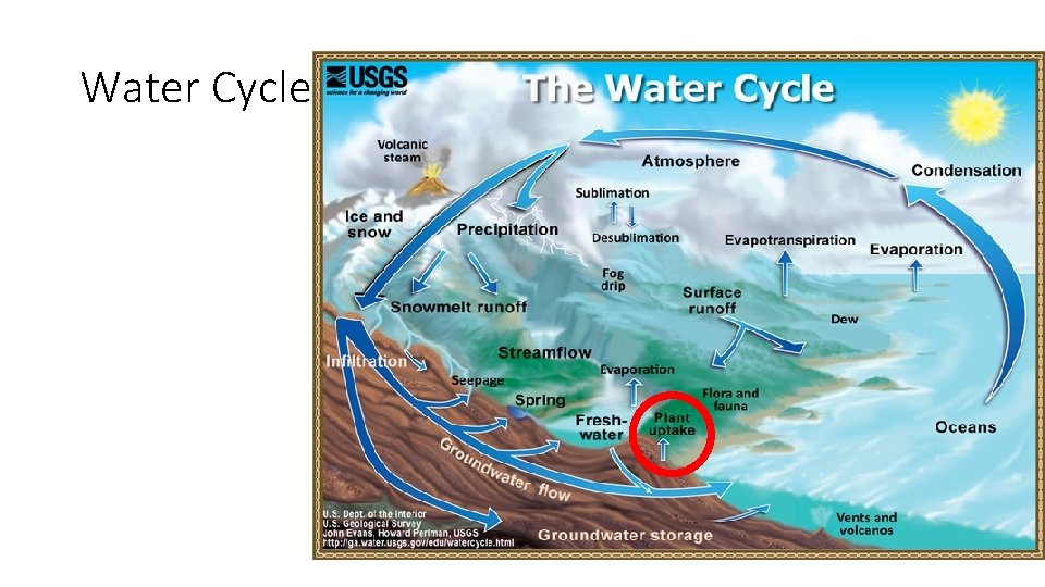 Water Cycle 