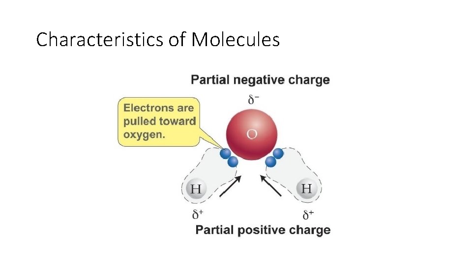 Characteristics of Molecules 