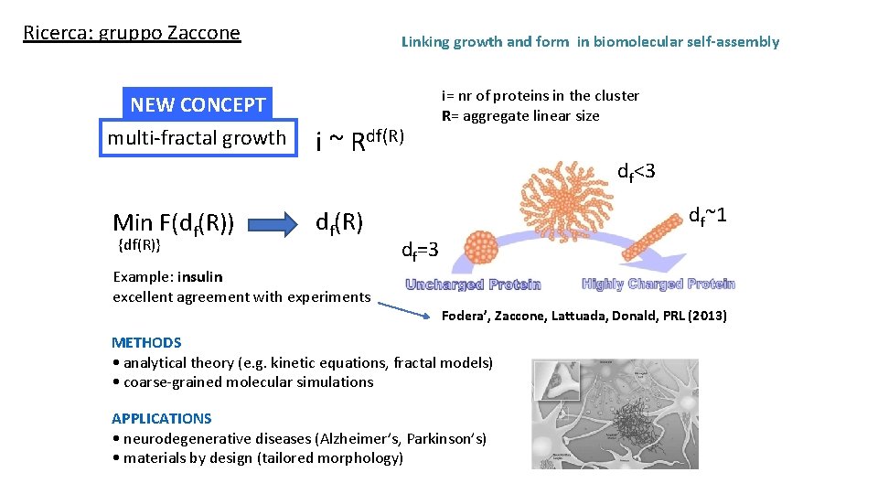 Ricerca: gruppo Zaccone NEW CONCEPT multi-fractal growth Min F(df(R)) {df(R)} Linking growth and form