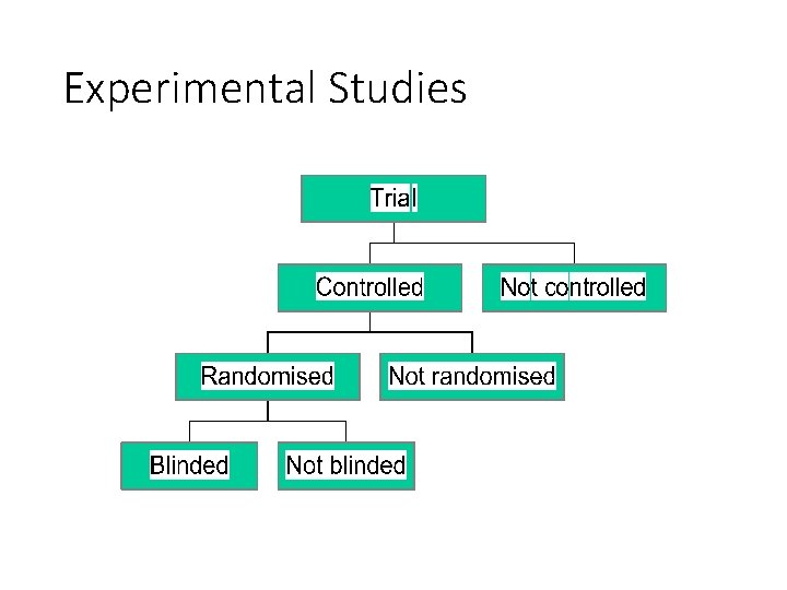 Experimental Studies 