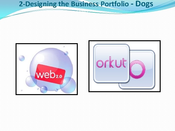 2 -Designing the Business Portfolio - Dogs 