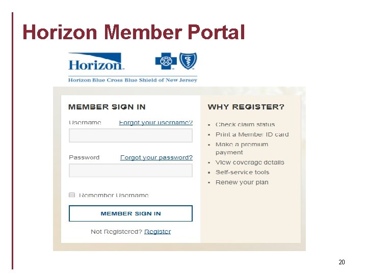 Horizon Member Portal 20 