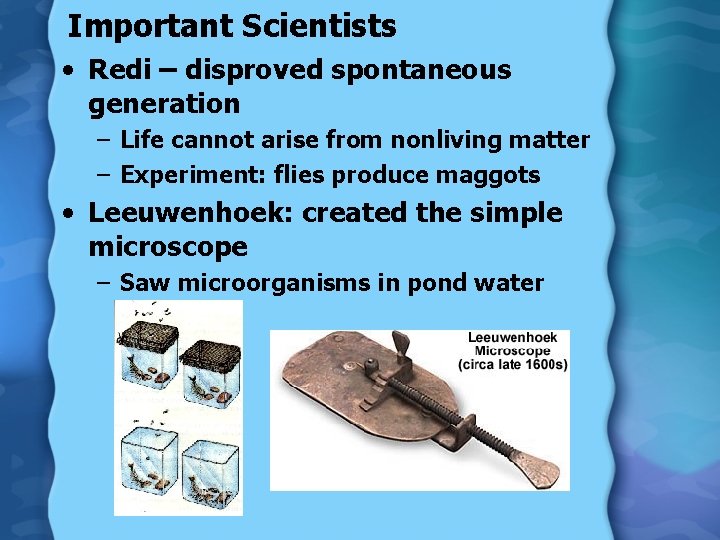 Important Scientists • Redi – disproved spontaneous generation – Life cannot arise from nonliving