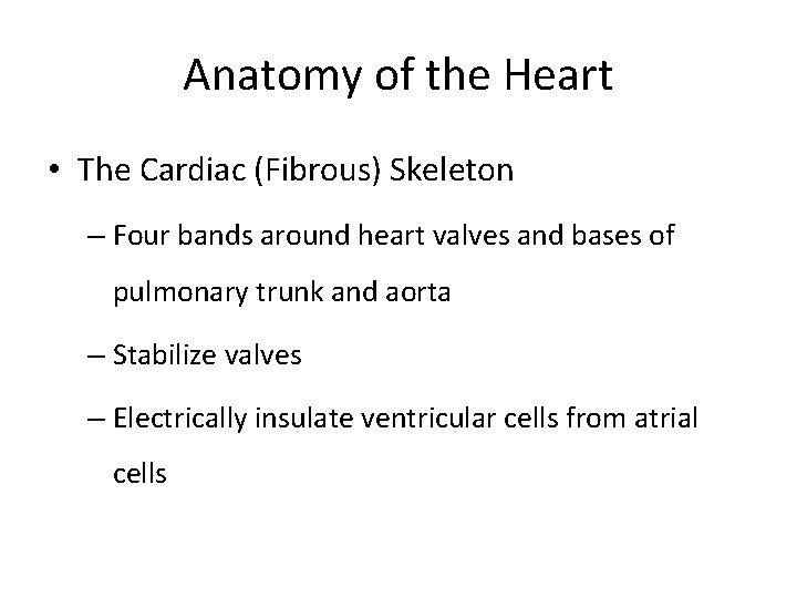Anatomy of the Heart • The Cardiac (Fibrous) Skeleton – Four bands around heart