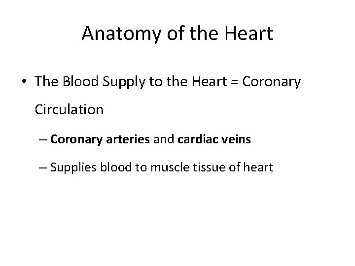 Anatomy of the Heart • The Blood Supply to the Heart = Coronary Circulation