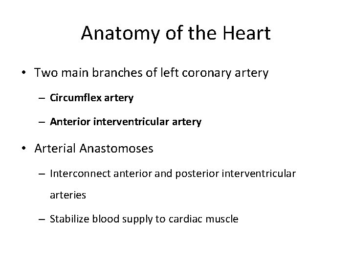 Anatomy of the Heart • Two main branches of left coronary artery – Circumflex