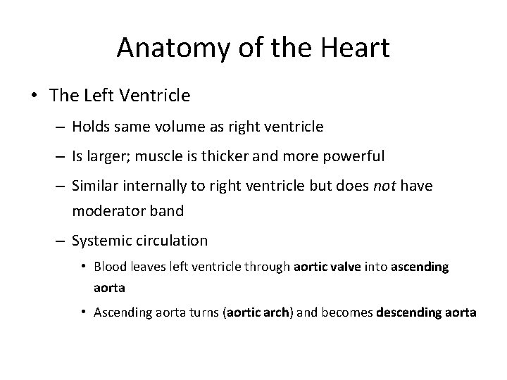 Anatomy of the Heart • The Left Ventricle – Holds same volume as right