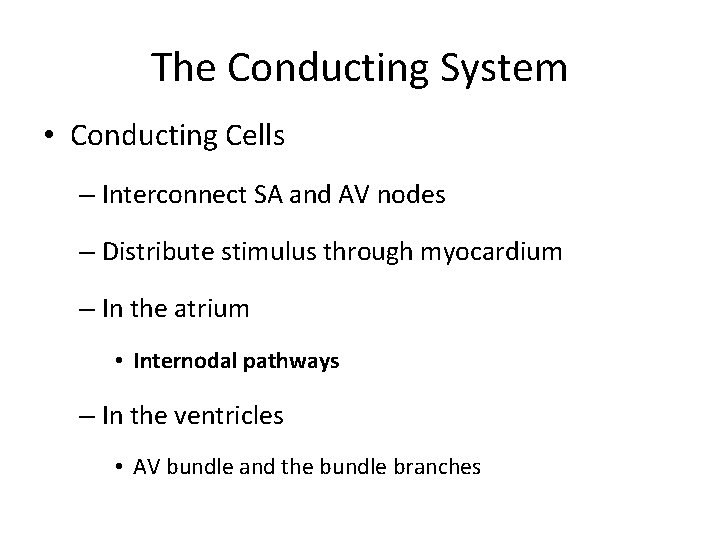 The Conducting System • Conducting Cells – Interconnect SA and AV nodes – Distribute