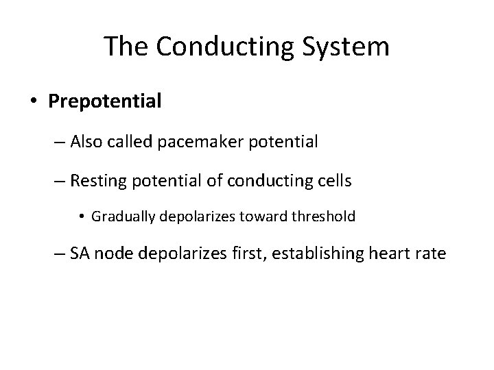 The Conducting System • Prepotential – Also called pacemaker potential – Resting potential of