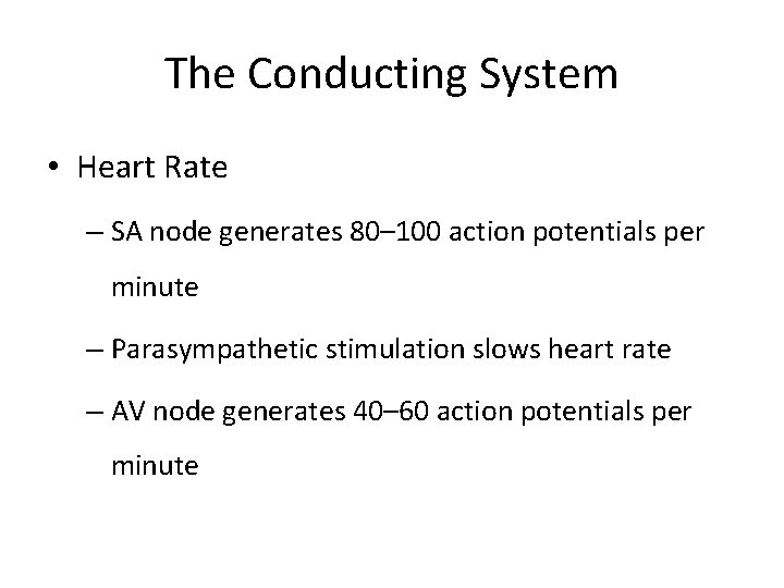 The Conducting System • Heart Rate – SA node generates 80– 100 action potentials