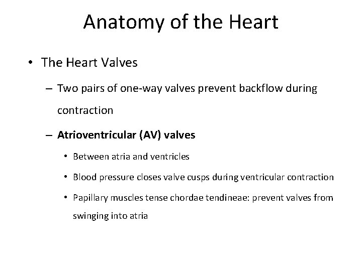 Anatomy of the Heart • The Heart Valves – Two pairs of one-way valves