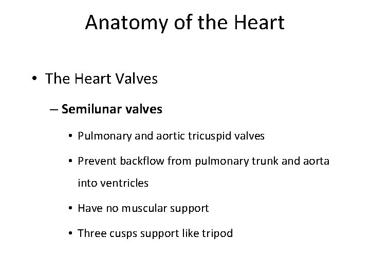 Anatomy of the Heart • The Heart Valves – Semilunar valves • Pulmonary and