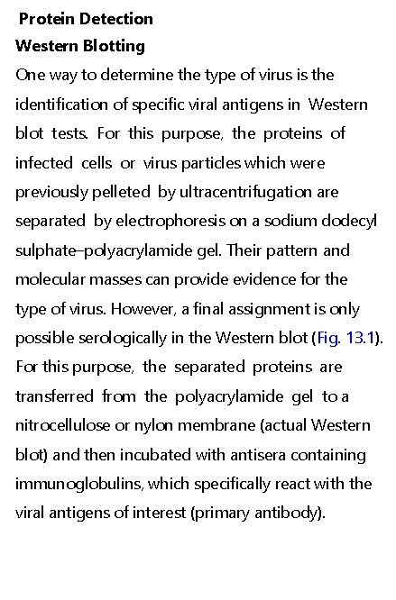 Protein Detection Western Blotting One way to determine the type of virus is the