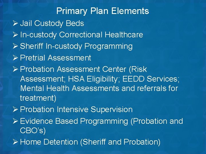 Primary Plan Elements Ø Jail Custody Beds Ø In-custody Correctional Healthcare Ø Sheriff In-custody