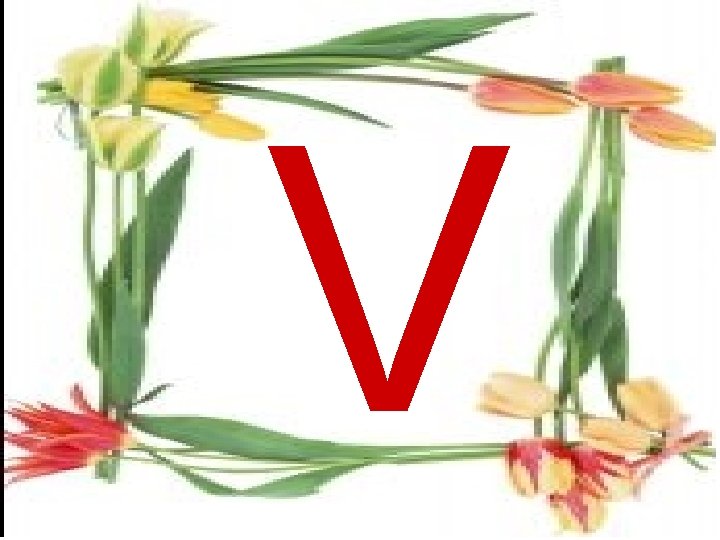 V 