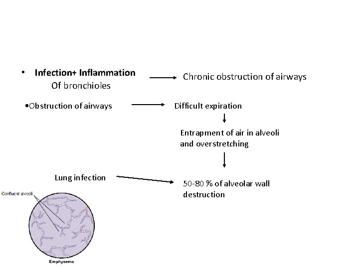  • Infection+ Inflammation Of bronchioles • Obstruction of airways Chronic obstruction of airways
