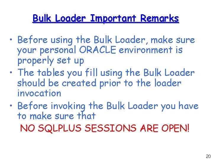 Bulk Loader Important Remarks • Before using the Bulk Loader, make sure your personal