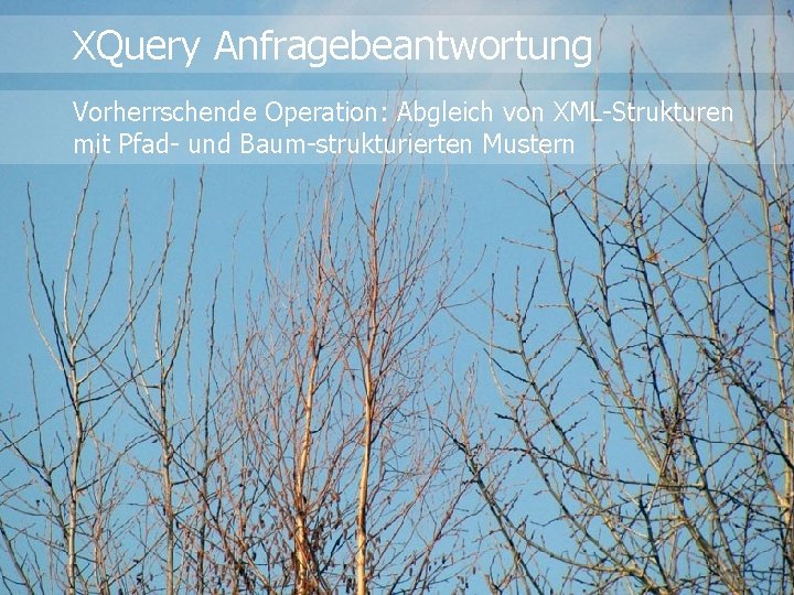 XQuery Anfragebeantwortung Vorherrschende Operation: Abgleich von XML-Strukturen mit Pfad- und Baum-strukturierten Mustern 
