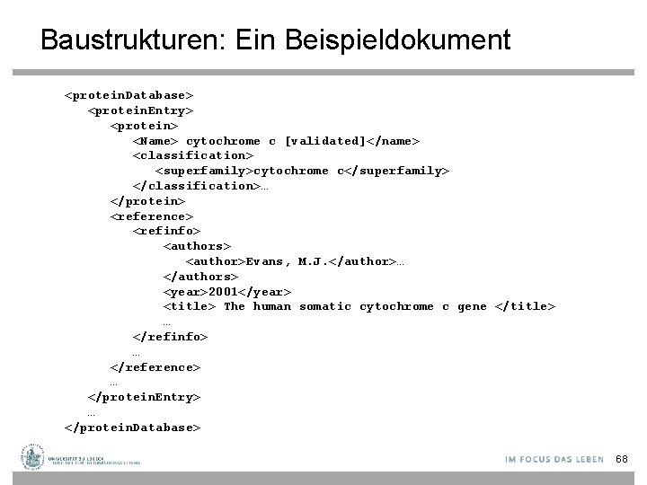 Baustrukturen: Ein Beispieldokument <protein. Database> <protein. Entry> <protein> <Name> cytochrome c [validated]</name> <classification> <superfamily>cytochrome