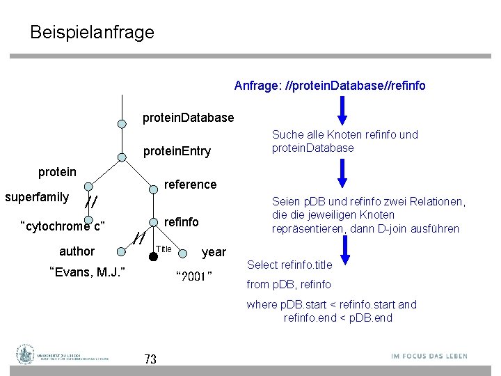 Beispielanfrage Anfrage: //protein. Database//refinfo protein. Database protein. Entry protein superfamily Suche alle Knoten refinfo