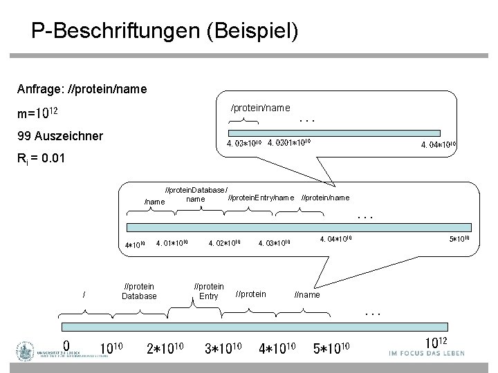 P-Beschriftungen (Beispiel) Anfrage: //protein/name m=1012 99 Auszeichner . . . 4. 03*1010 4. 0301*1010